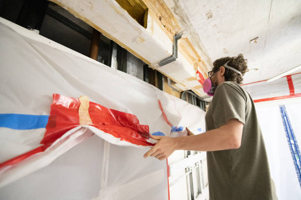 Asbestos and Lead Testing During Mold Inspection in Louisville, CO